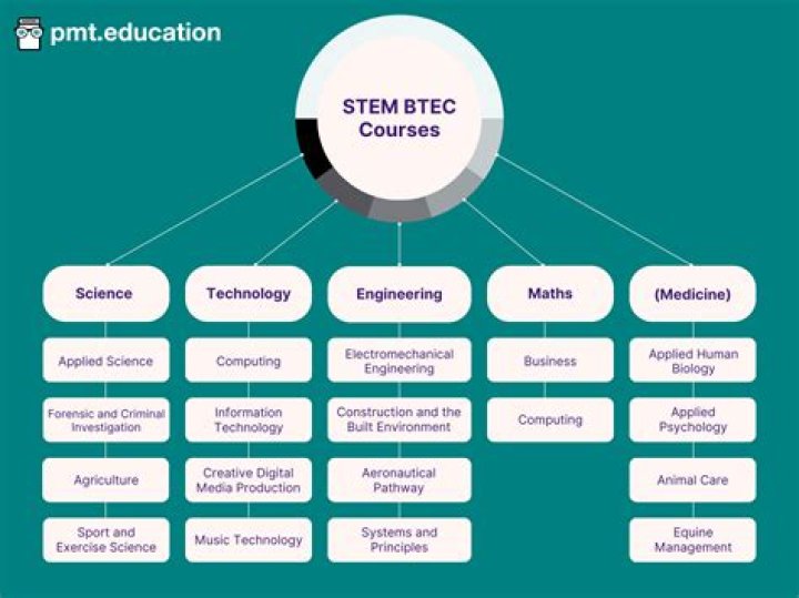 What courses are under STEM?