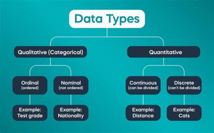 What data type is most suitable to define a password field?