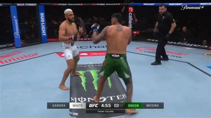 What did Jose Morelos fight for?