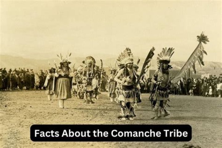 What did the Concho tribe live in?