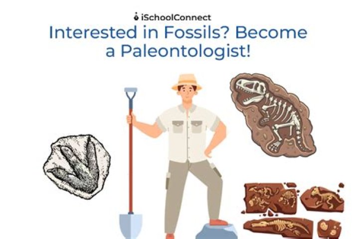What do paleontologists study?