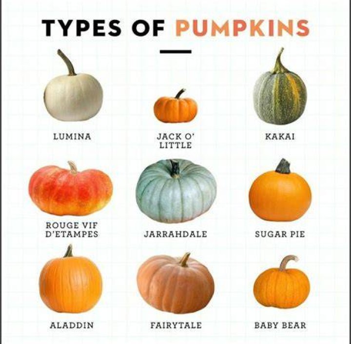 What do pumpkin colors mean?