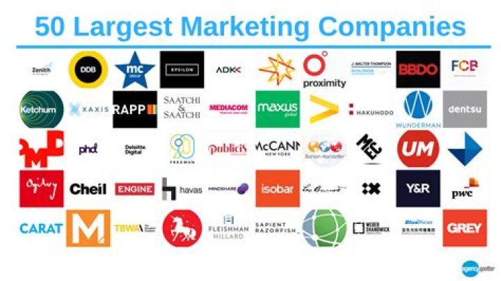 What do sales and marketing companies do?
