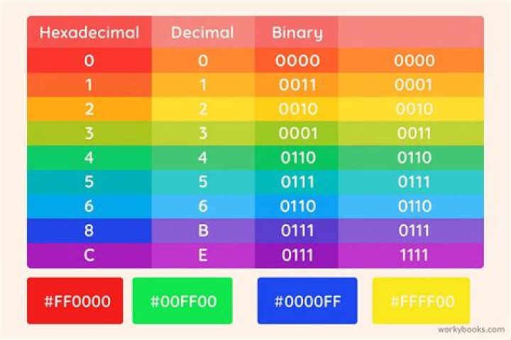 What do the last six hexadecimal digits of a MAC address represent?
