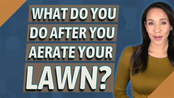 What do you do after you aerate your lawn?