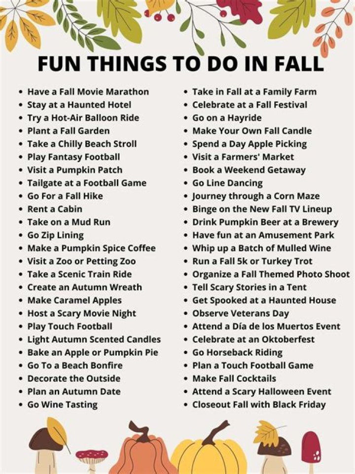 What do you do in autumn?