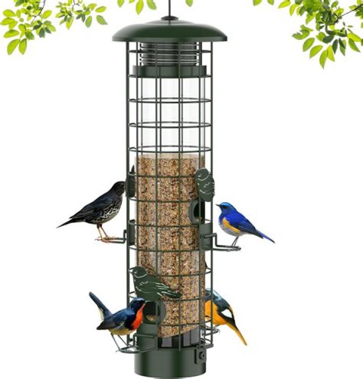 What do you fill a bird feeder with?