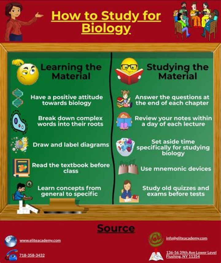 What do you learn in biology in college?