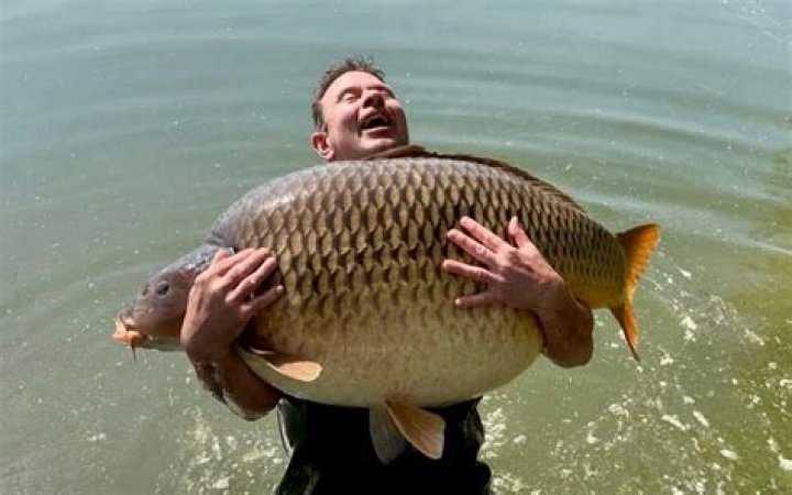 What do you use for carp fishing?