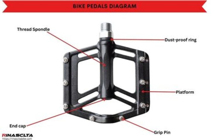 What does a bike pedal attached to?