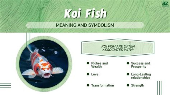 What does a carp fish symbolize?