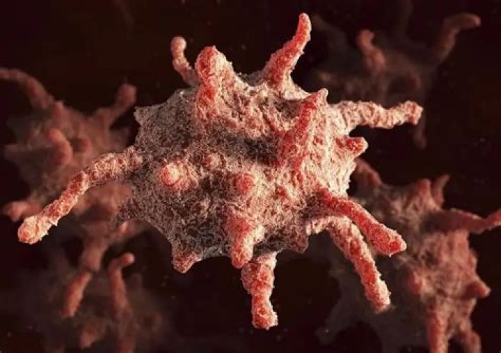 What does a high platelet count indicate?