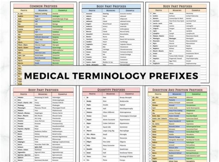 What does a prefix mean in medical terminology?