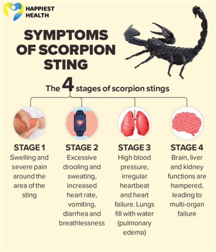 What does a scorpion need to survive?