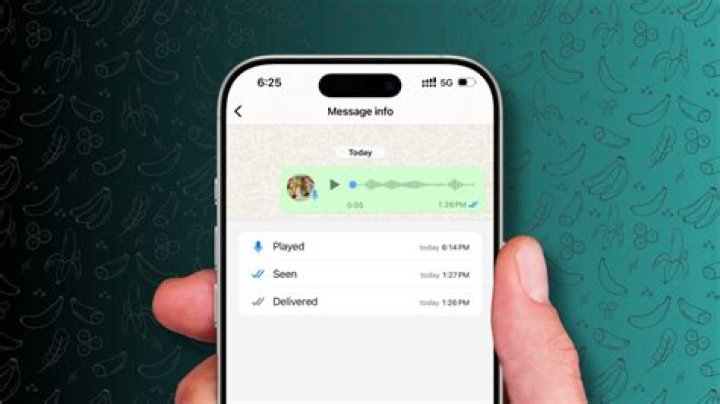 What does a single tick mean in WhatsApp?