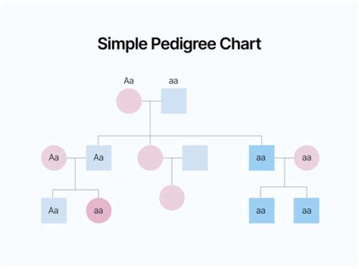 What does a slash mean in a pedigree?