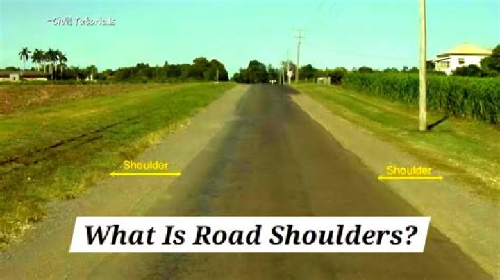 What does a white diamond painted on the roadway mean?
