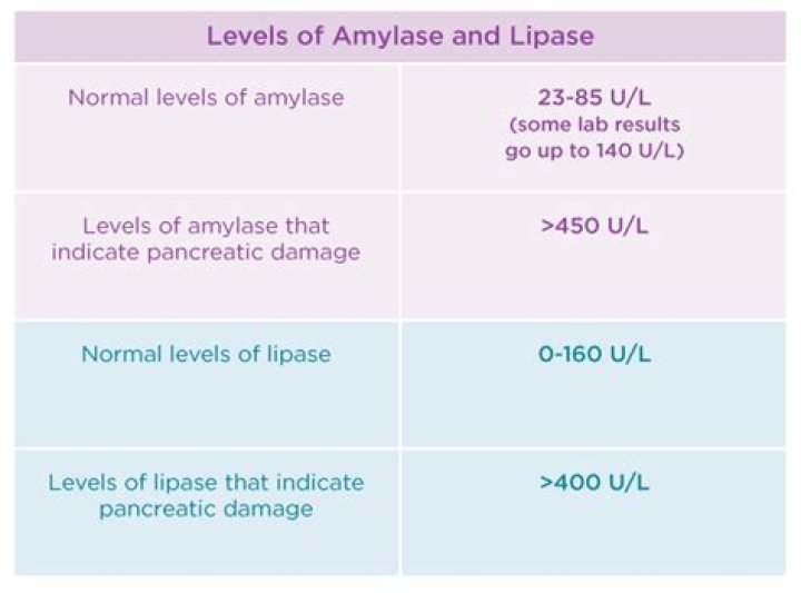 What does amylase and lipase test for?