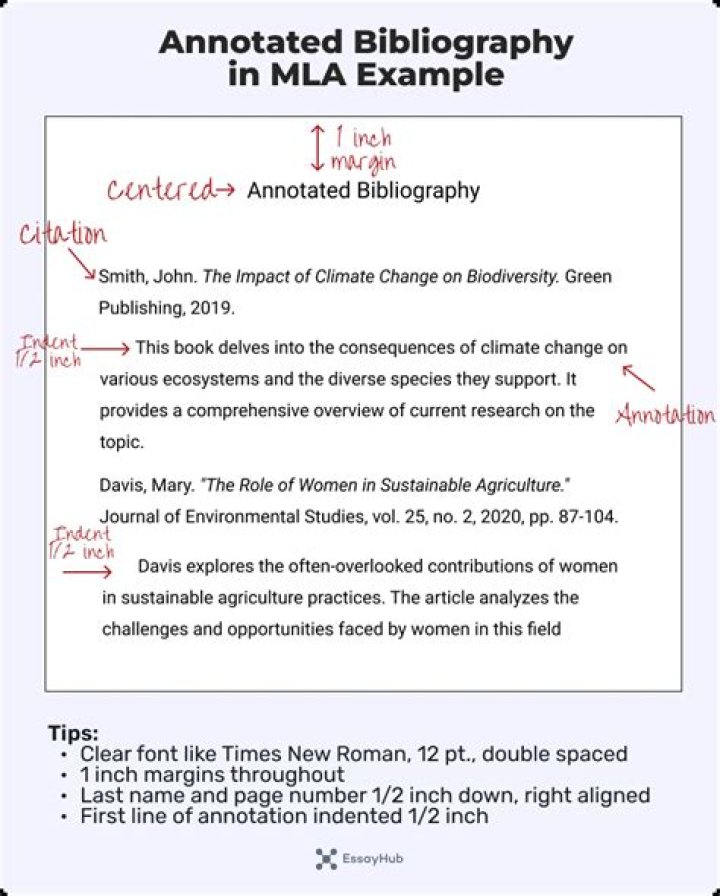 What does an annotated bibliography look like?