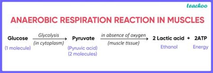 What does anaerobic respiration produce?