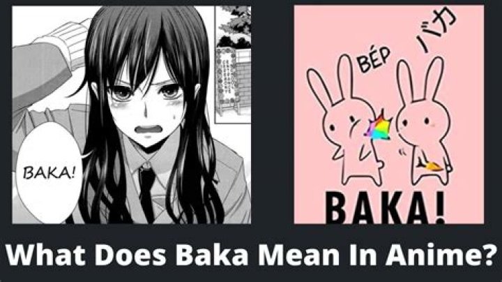 What does Baka mean in Korean?