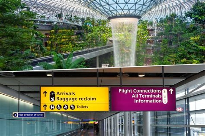 What does Changi mean?