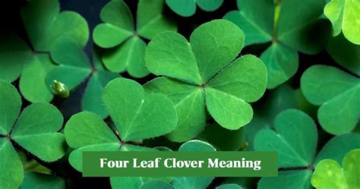 What does Clover Leaf symbolize?