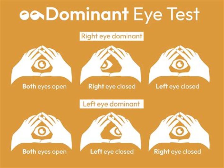 What does dominance and submission mean?