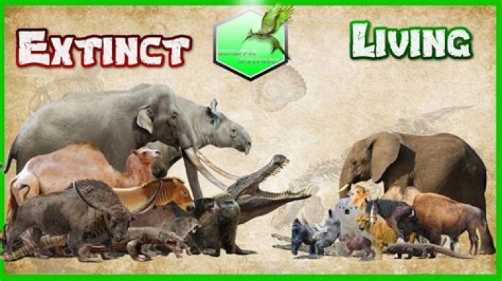 What does extant mean in biology?