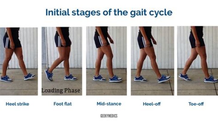 What does gait mean?