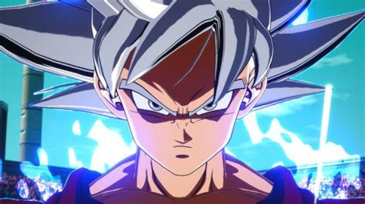 What does Goku emblem mean?