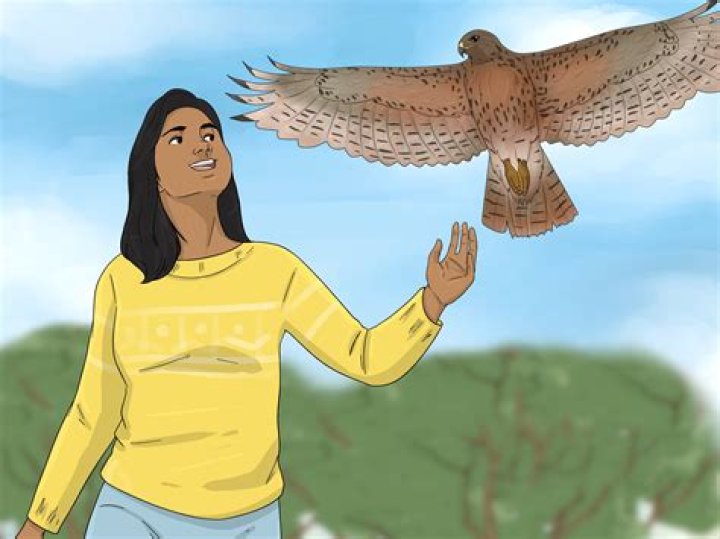 What does it mean if you see a black cockatoo?