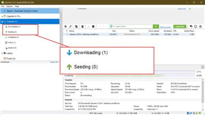 What does it mean when BitTorrent says seeding?