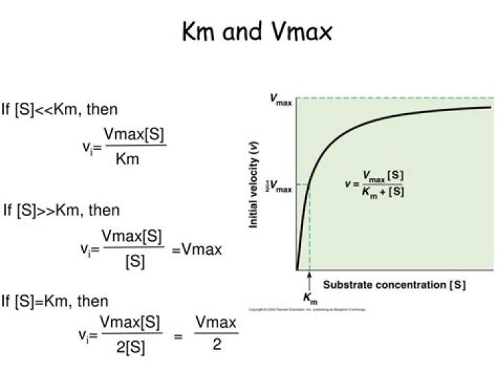 What does Km and Vmax mean?