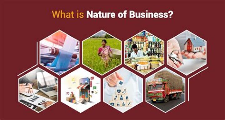 What does nature of government mean?