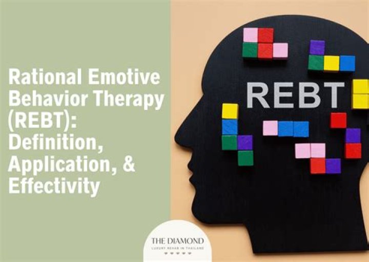 What does rational emotive behavior therapy treat?