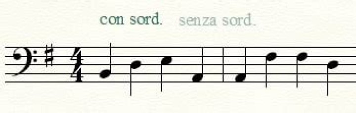 What does Senza sord mean in music?