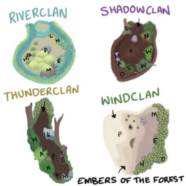What does ShadowClan camp look like?