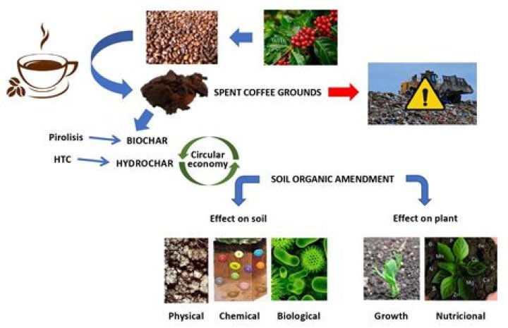 What does soil coffee consist of?