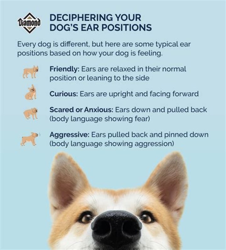 What does stretching your ears mean?