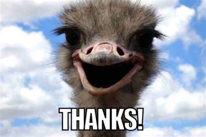 What does thank you very much mean?