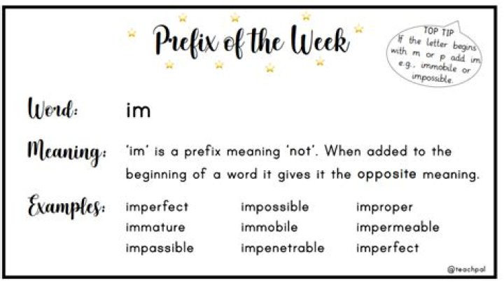 What does the prefix im mean?