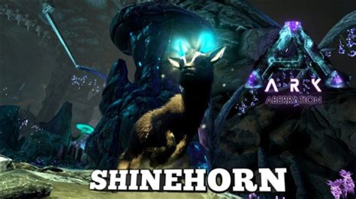 What does the Shinehorn eat?