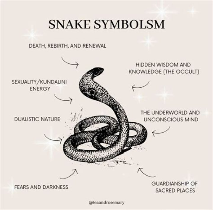What does the snake symbolize in a Long Way Gone?