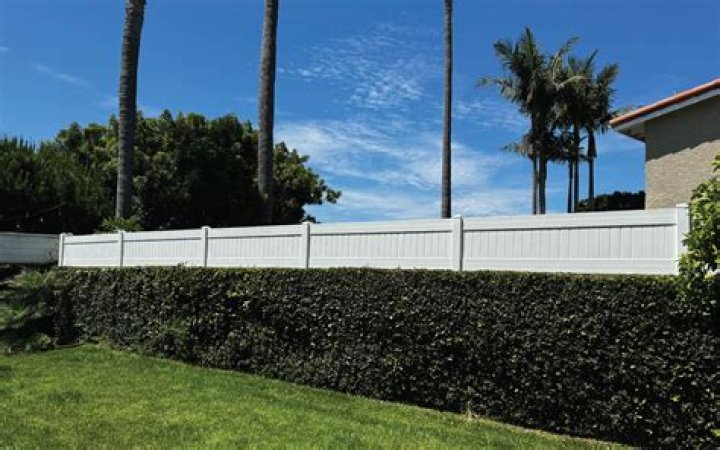 What does white fence mean?