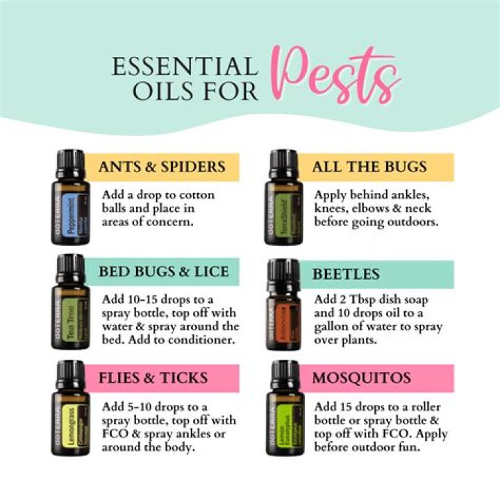 What essential oils are good for bees?