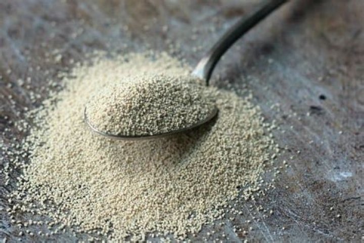What exactly is Yeast?