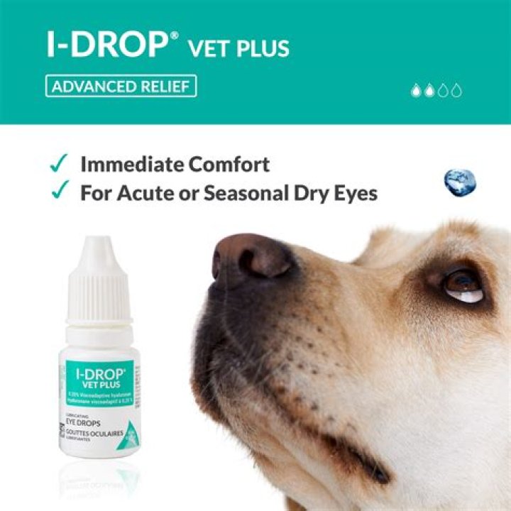 What eye drops are safe for dogs?