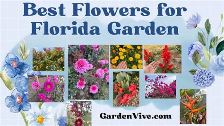 What flowers grow well in Las Vegas?