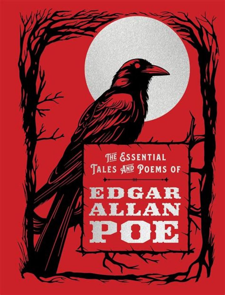 What happened to Edgar Allan Poe at university?
